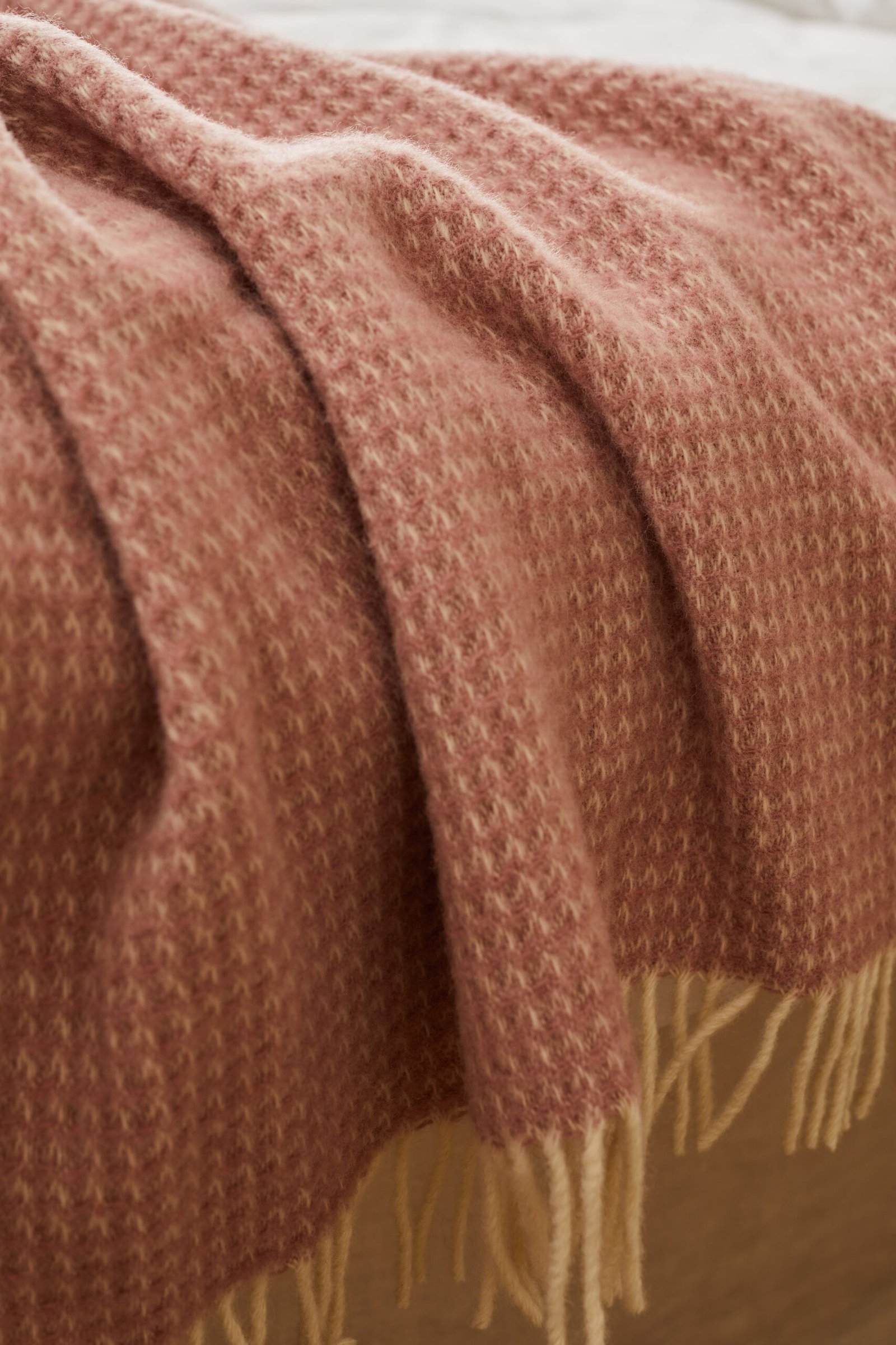 Embracing the Cosy Season