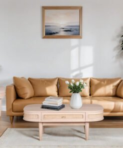 Valencia Cane & Mango Wood 1 Drawer Coffee Table