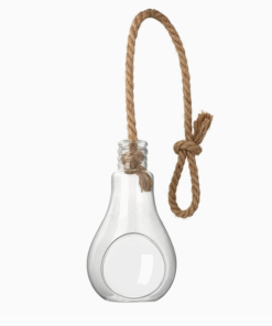 Clear Glass Bulb Tealight Holder (Large) - Image 3