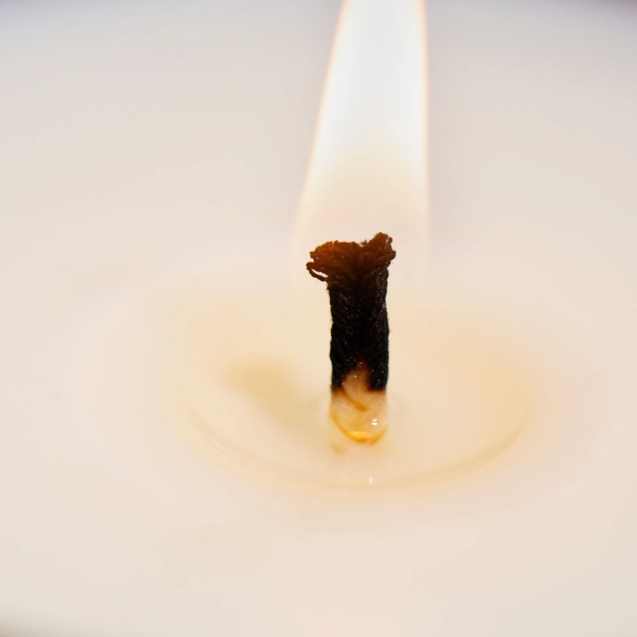 Chapter Organics Aromatherapy Candle 'The Quiet' (300g) - Image 5